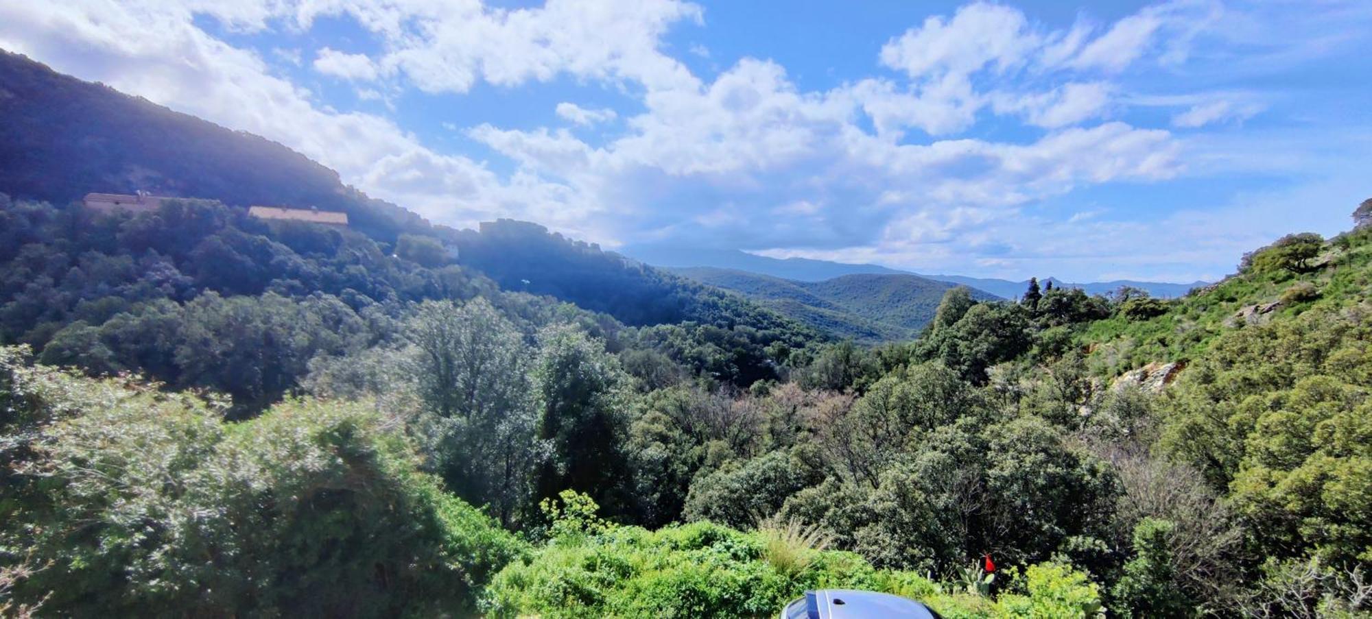 La Vallicella Farinole Zimmer foto
